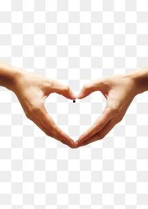 love手势图片