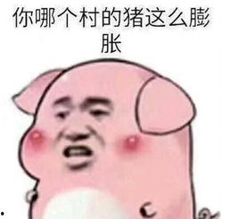 小意思表情包